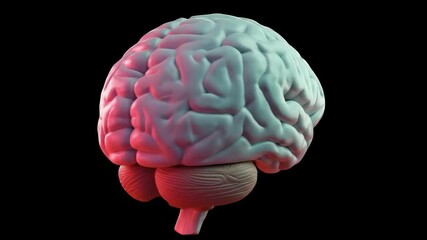 Human Brain: 3D Model Rotating, Neon Glow, Neurological Study - Powered by Adobe