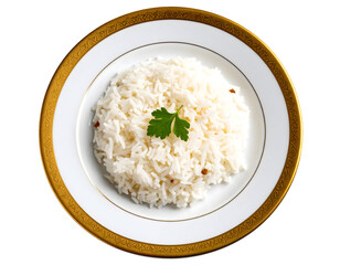 Rice elegantly plated and beautifully displayed