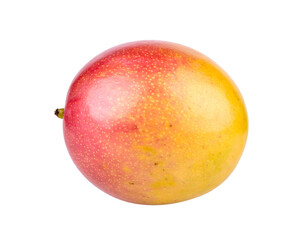 Studio shot of a ripe mango