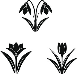 Image of Elegant Black and White Spring Flower Icons Snowdrop, Crocus, Tulip Illustrations printed on Printed Glass Basin Splashbacks