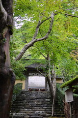 【京都】大原　寂光院の山門と石段の参道