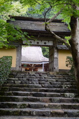 【京都】大原　寂光院の山門と石段の参道