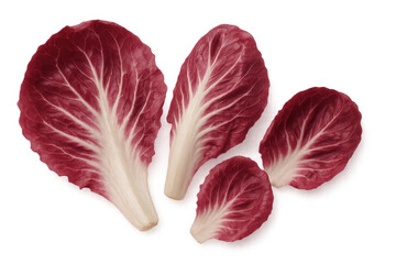 Vibrant radicchio leaves displaying deep red and white hues, positioned against transparent surface for culinary visual design needs