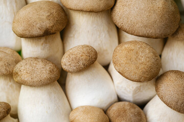 Close-up of brown and white mushrooms stacked for texture or organic produce detail concept