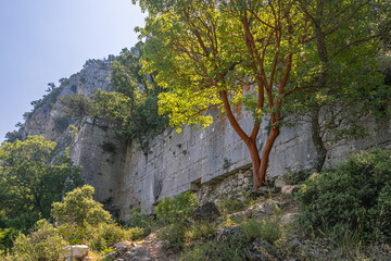 Termessos is an ancient city located in Turkey high in the mountains. The walls of the buildings in the ancient city are made of large smooth stone blocks. Ruins of the city among the trees.