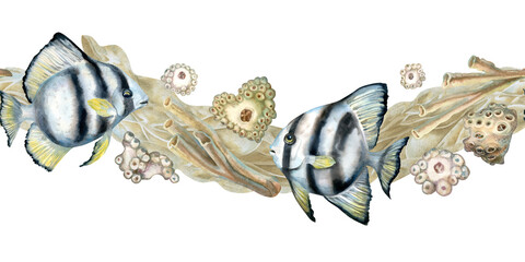 Naklejka premium Seamless border of black-white striped tropical fish, beige corals, sea sand. Watercolor template of seascape in beige tones isolated on white background for sea design, diving, scrapbook, sticker