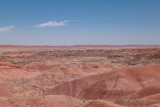 Tiponi Point, Petrified Forest National Park, Arizona. Chinle Formation, Petrified Forest Member(Upper Triassic). reddish mudstones and brown sandstone. 