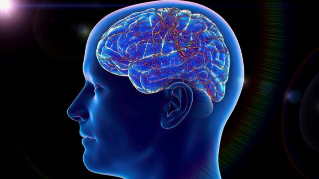 lightning human brain animation with excellent quality