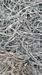 pile of rope