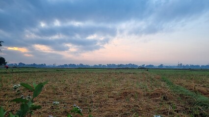 sunset in the field