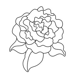 Floral Line Art Rose for Kids Coloring, Worksheets, and Decorative Design