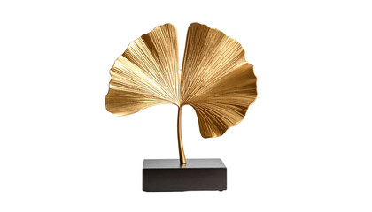 Golden Ginkgo leaves on white background
