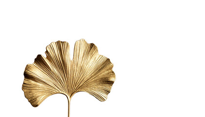 Golden Ginkgo leaves on white background