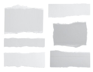 Collection Of Ripped Paper Fragments On Black Background Displaying White Toned Textured Pieces With Jagged Edges And Varying Shapes