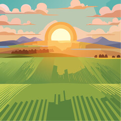 Aerial sunset view of green crop fields. Golden sun above horizon, dramatic sky