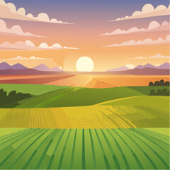Obraz premium Aerial sunset view of green crop fields. Golden sun above horizon, dramatic sky