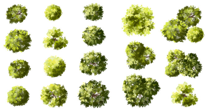 Vector watercolor green tree or forest top view isolated on white background for landscape plan and architecture drawing,plant for environment or garden,botanical element for exterior layout