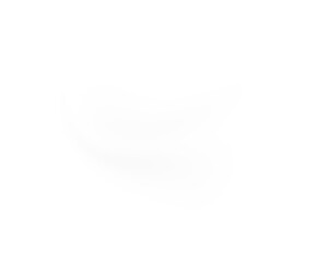 Obraz premium White blur shape