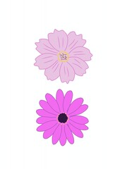 pink flower background