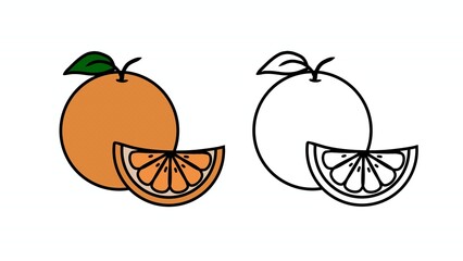 vector illustration of an orange 