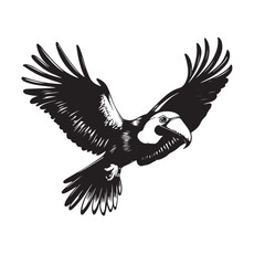 Toucan Flying image vector on transparent background.