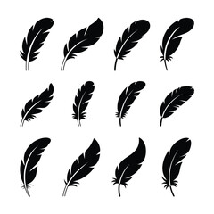 Set of Black and White Feather Icons