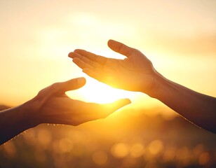 Hands reaching for the sun