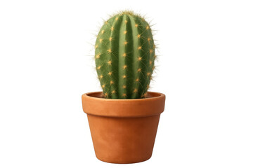 3d-rendered vivid green cactus growing in terracotta pot, minimalist transparent backdrop highlighting plant's striking details