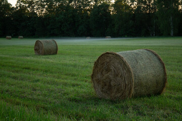 Coutryside view with hay roll and misty field shortly after sunset a quiet scene in summer in July in Latvia