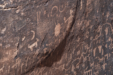 Newspaper Rock Petroglyphs Archeological District, Petrified Forest National Park, Arizona. Desert varnish. Chinle Formation, Blue Mesa Member. Mudstone with minor siltstone and sandstone.