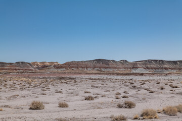 Historic Blue Forest Trailhead, Petrified Forest National Park, Arizona. Desert varnish. Chinle...