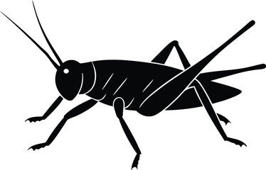 cricket silhouette vector