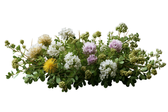 白や紫の小さな花が咲く草花の素朴な寄せ植え_背景透過_切り抜き

