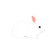 Minimalist white rabbit side profile illustration with pink inner ears on transparent background