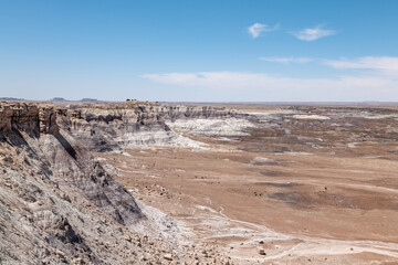 Araucarioxylon arizonicum. Petrified wood / fossilized wood. Blue Mesa Scenic Rd, Petrified Forest National Park, Arizona. Chinle Formation, Blue Mesa Member.