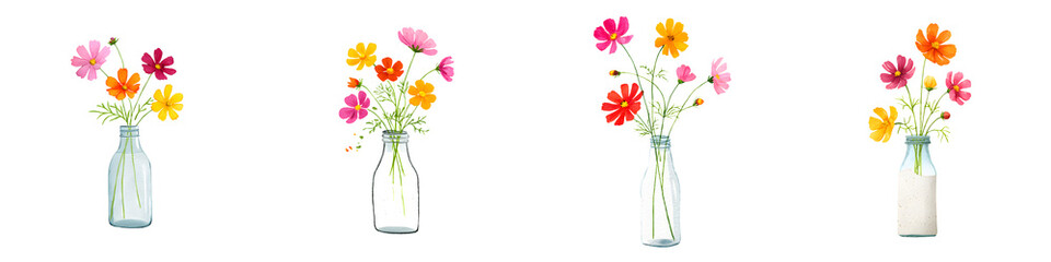 Obraz premium Cosmos Flowers in Glass Bottles, Watercolor Floral Set on White
