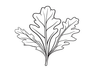 Arugula Leaf Icon with Vibrant Line Design