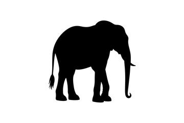 Black Silhouette of a Standing Elephant