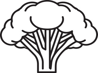 Healthy Broccoli Vegetable Illustration in Line Art