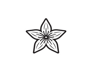 Exotic Carambola Starfruit in Clean Line Design