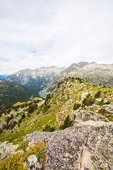 Summer landscape in Vall de Boi in Aiguestortes and Sant Maurici National Park, Spain