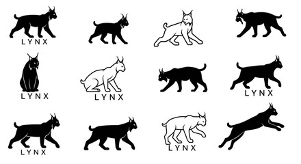 Twelve stylized lynx illustrations: black, white, and outline variations in walking, sitting, and leaping poses.