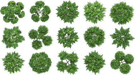Top view green tree collection, realistic foliage set, landscaping design elements, garden planning clipart, aerial nature illustration pack
Top view green tree collection
