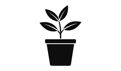 Simple black silhouette of a young plant growing in a pot