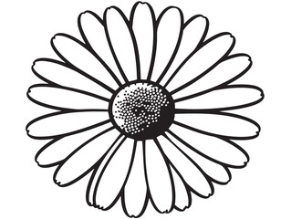 Daisy Line Art Floral Icon in Fine Vector