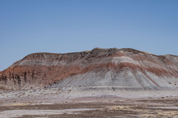 Historic Blue Forest Trailhead, Petrified Forest National Park, Arizona. Desert varnish. Chinle...