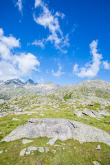 Summer landscape in Vall de Boi in Aiguestortes and Sant Maurici National Park, Spain