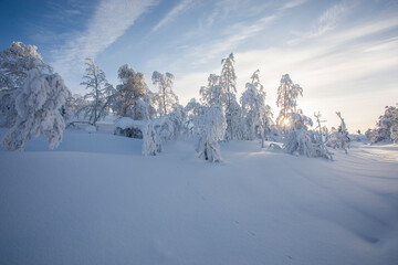 Winter landscape in Pallas Yllastunturi National Park, Lapland, Finland