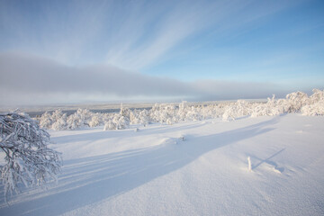 Winter landscape in Pallas Yllastunturi National Park, Lapland, Finland