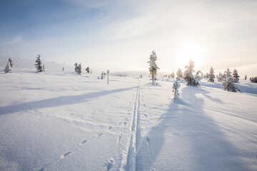 Winter landscape in Pallas Yllastunturi National Park, Lapland, Finland